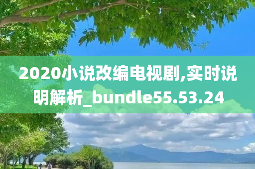 2020小说改编电视剧,实时说明解析_bundle55.53.24