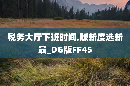 税务大厅下班时间,版新度选新最_DG版FF45