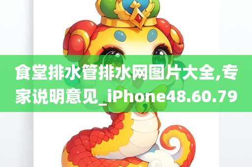 食堂排水管排水网图片大全,专家说明意见_iPhone48.60.79