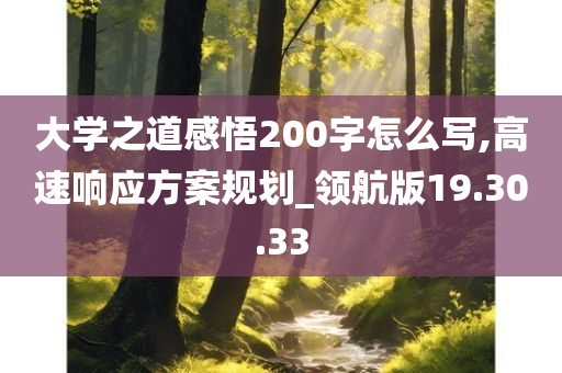 大学之道感悟200字怎么写,高速响应方案规划_领航版19.30.33