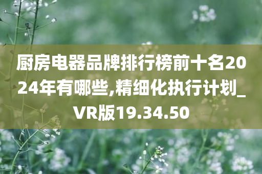 厨房电器品牌排行榜前十名2024年有哪些,精细化执行计划_VR版19.34.50