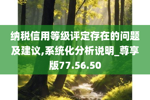 纳税信用等级评定存在的问题及建议,系统化分析说明_尊享版77.56.50