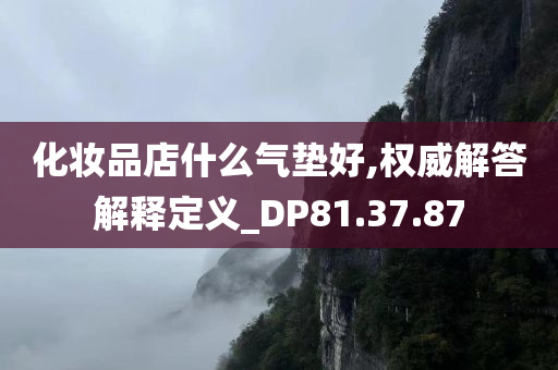 化妆品店什么气垫好,权威解答解释定义_DP81.37.87