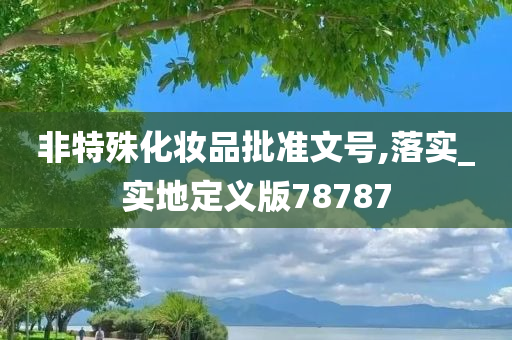 非特殊化妆品批准文号,落实_实地定义版78787