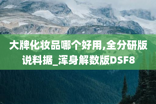 大牌化妆品哪个好用,全分研版说料据_浑身解数版DSF8