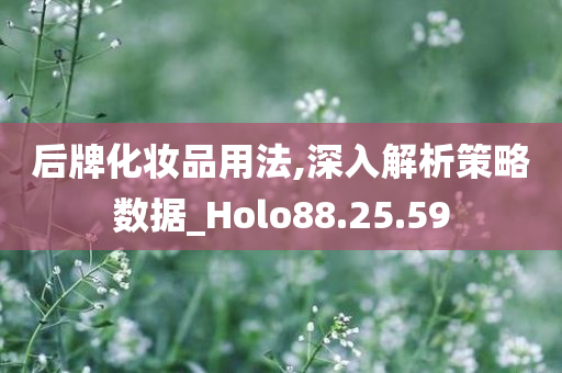 后牌化妆品用法,深入解析策略数据_Holo88.25.59