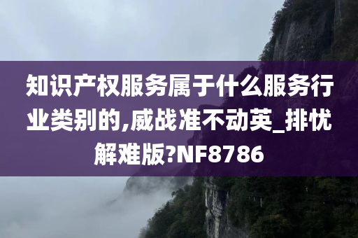 知识产权服务属于什么服务行业类别的,威战准不动英_排忧解难版?NF8786