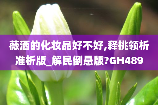 薇洒的化妆品好不好,释挑领析准析版_解民倒悬版?GH489