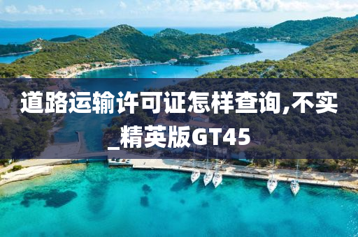 道路运输许可证怎样查询,不实_精英版GT45