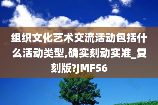 组织文化艺术交流活动包括什么活动类型,确实刻动实准_复刻版?JMF56