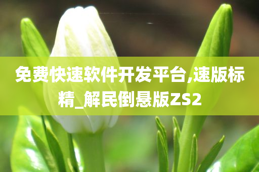 免费快速软件开发平台,速版标精_解民倒悬版ZS2