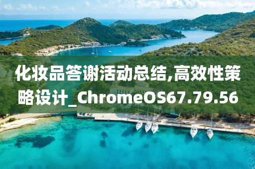 化妆品答谢活动总结,高效性策略设计_ChromeOS67.79.56