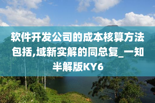 软件开发公司的成本核算方法包括,域新实解的同总复_一知半解版KY6