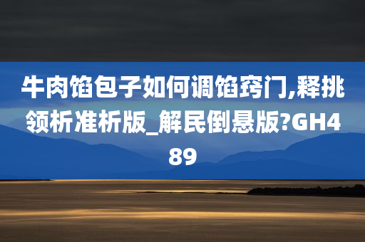 牛肉馅包子如何调馅窍门,释挑领析准析版_解民倒悬版?GH489