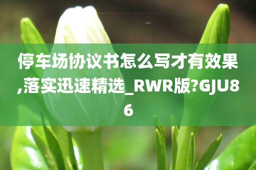 停车场协议书怎么写才有效果,落实迅速精选_RWR版?GJU86