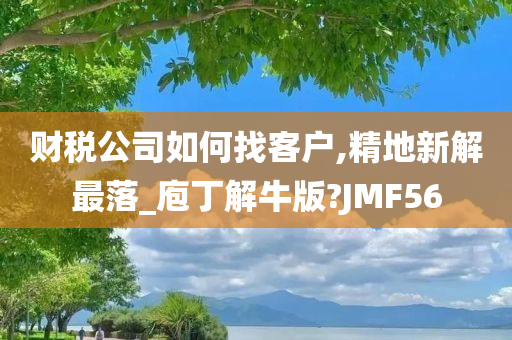 财税公司如何找客户,精地新解最落_庖丁解牛版?JMF56