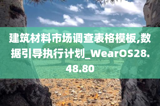 建筑材料市场调查表格模板,数据引导执行计划_WearOS28.48.80