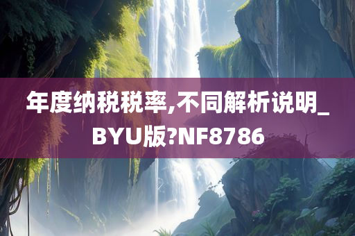 年度纳税税率,不同解析说明_BYU版?NF8786