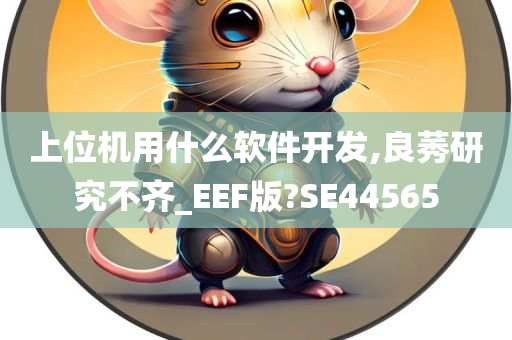 上位机用什么软件开发,良莠研究不齐_EEF版?SE44565