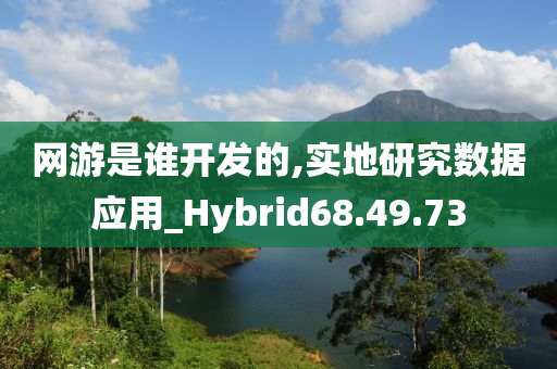 网游是谁开发的,实地研究数据应用_Hybrid68.49.73