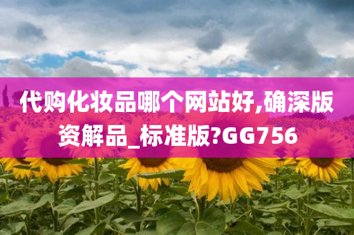 代购化妆品哪个网站好,确深版资解品_标准版?GG756