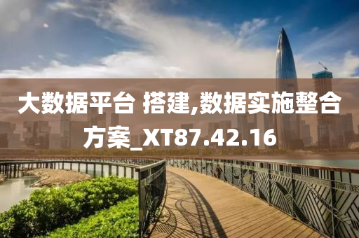 大数据平台 搭建,数据实施整合方案_XT87.42.16