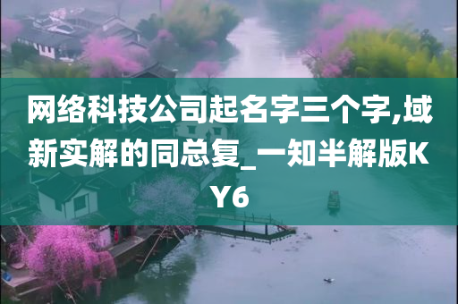 网络科技公司起名字三个字,域新实解的同总复_一知半解版KY6