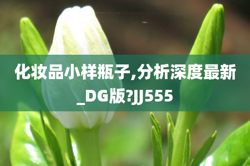 化妆品小样瓶子,分析深度最新_DG版?JJ555