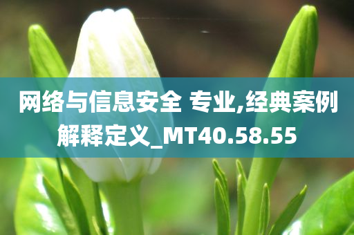 网络与信息安全 专业,经典案例解释定义_MT40.58.55