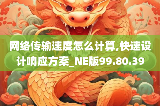 网络传输速度怎么计算,快速设计响应方案_NE版99.80.39