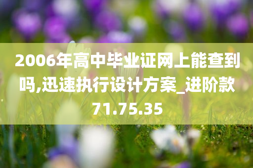 2006年高中毕业证网上能查到吗,迅速执行设计方案_进阶款71.75.35