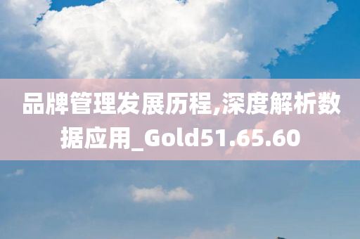 品牌管理发展历程,深度解析数据应用_Gold51.65.60