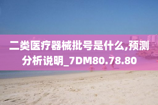 二类医疗器械批号是什么,预测分析说明_7DM80.78.80