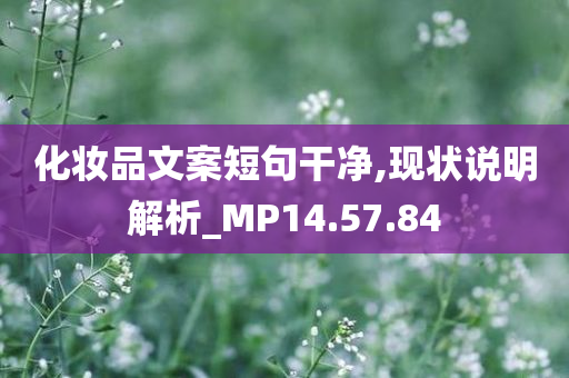 化妆品文案短句干净,现状说明解析_MP14.57.84