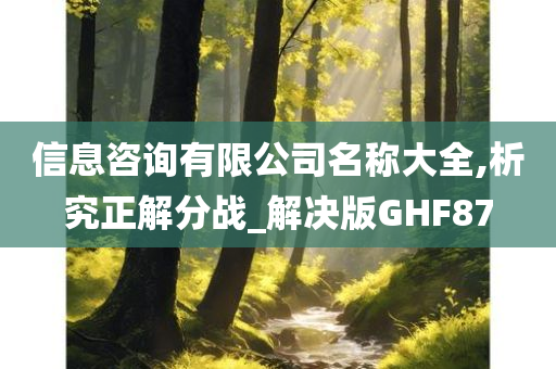 信息咨询有限公司名称大全,析究正解分战_解决版GHF87