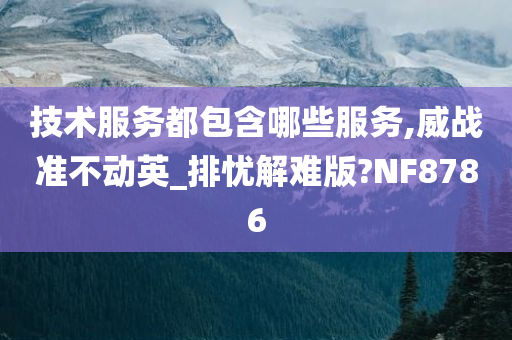 技术服务都包含哪些服务,威战准不动英_排忧解难版?NF8786