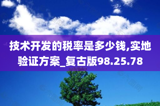 技术开发的税率是多少钱,实地验证方案_复古版98.25.78