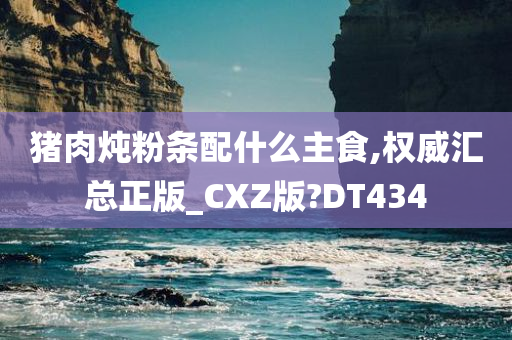 猪肉炖粉条配什么主食,权威汇总正版_CXZ版?DT434