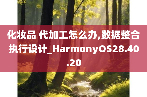 化妆品 代加工怎么办,数据整合执行设计_HarmonyOS28.40.20