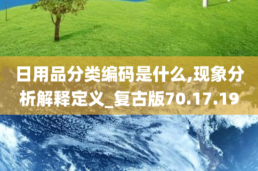 日用品分类编码是什么,现象分析解释定义_复古版70.17.19