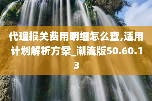 代理报关费用明细怎么查,适用计划解析方案_潮流版50.60.13