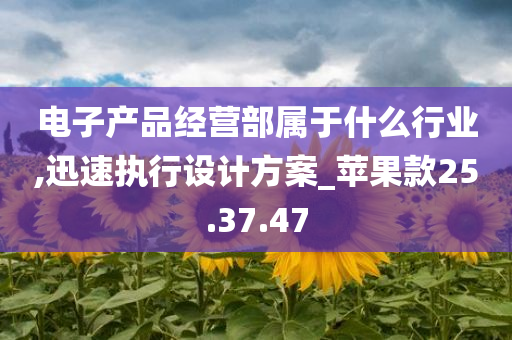 电子产品经营部属于什么行业,迅速执行设计方案_苹果款25.37.47