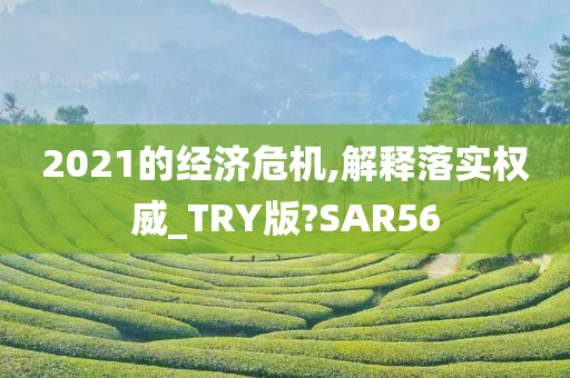 2021的经济危机,解释落实权威_TRY版?SAR56