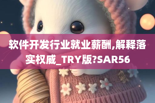 软件开发行业就业薪酬,解释落实权威_TRY版?SAR56