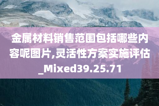 金属材料销售范围包括哪些内容呢图片,灵活性方案实施评估_Mixed39.25.71