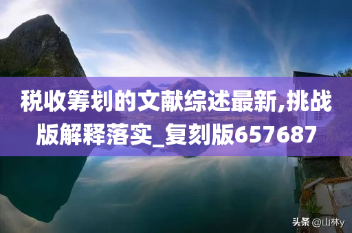 税收筹划的文献综述最新,挑战版解释落实_复刻版657687