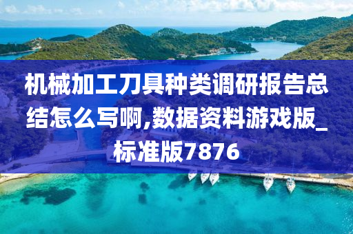 机械加工刀具种类调研报告总结怎么写啊,数据资料游戏版_标准版7876