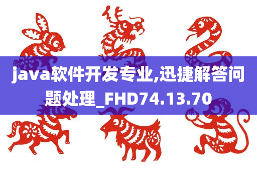 java软件开发专业,迅捷解答问题处理_FHD74.13.70