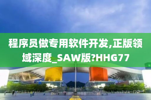 程序员做专用软件开发,正版领域深度_SAW版?HHG77