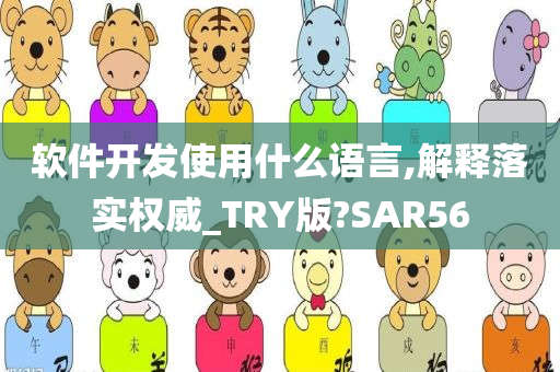 软件开发使用什么语言,解释落实权威_TRY版?SAR56